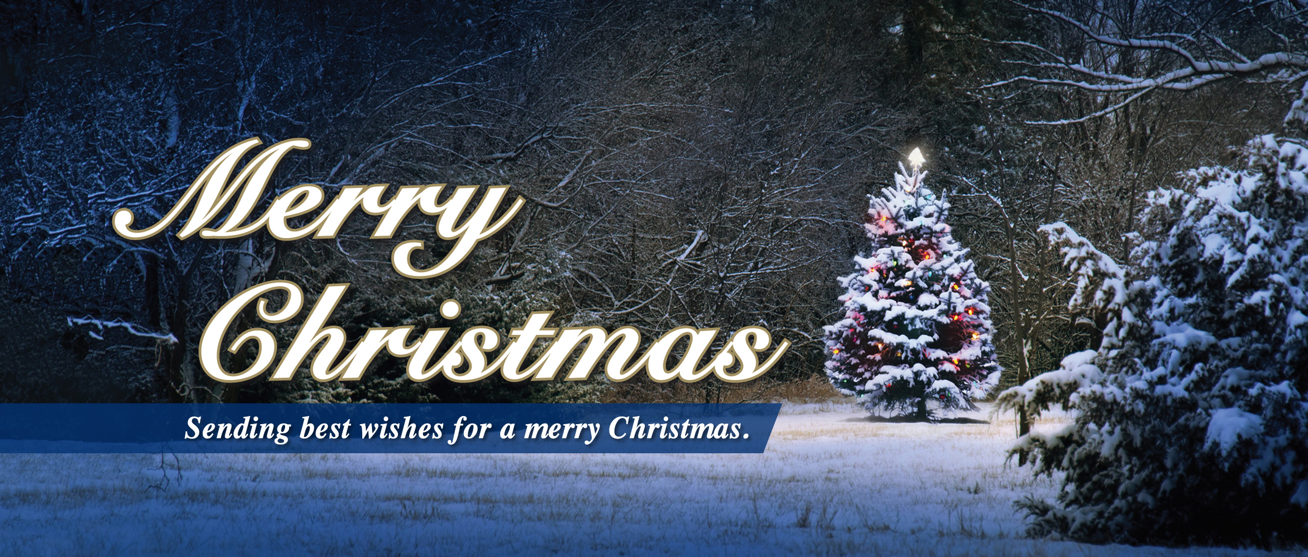 Pioneer Trust Bank would like to wish everyone a Merry Christmas and Happy Holidays.